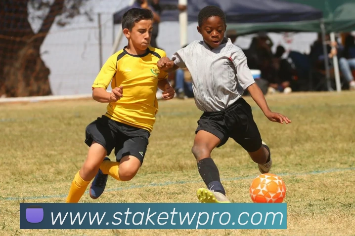 Stake台湾中文赌场全站App